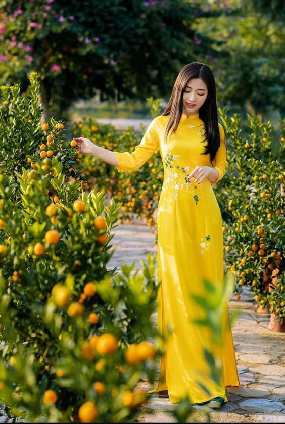 How Much Does A Vietnamese Bride Cost?